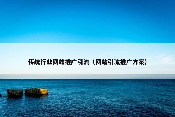 传统行业网站推广引流（网站引流推广方案）