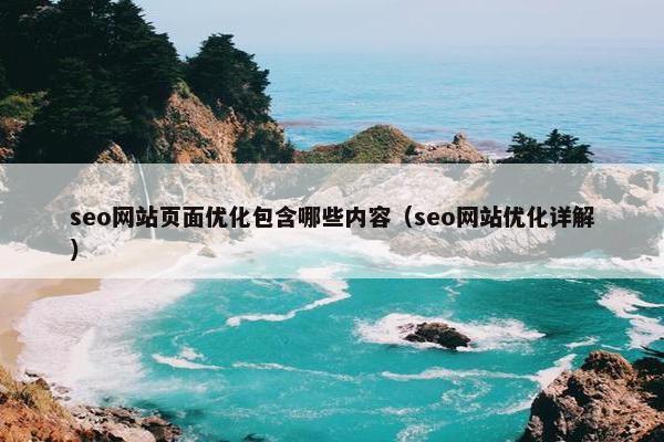 seo网站页面优化包含哪些内容（seo网站优化详解）