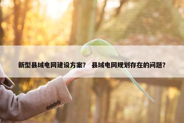 新型县域电网建设方案？ 县域电网规划存在的问题？