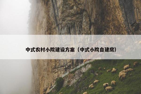 中式农村小院建设方案（中式小院自建房）