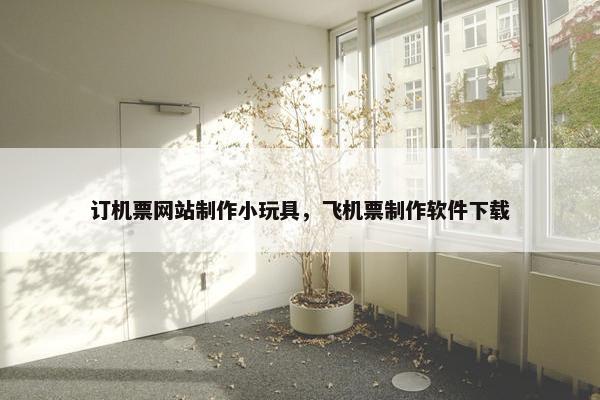 订机票网站制作小玩具，飞机票制作软件下载