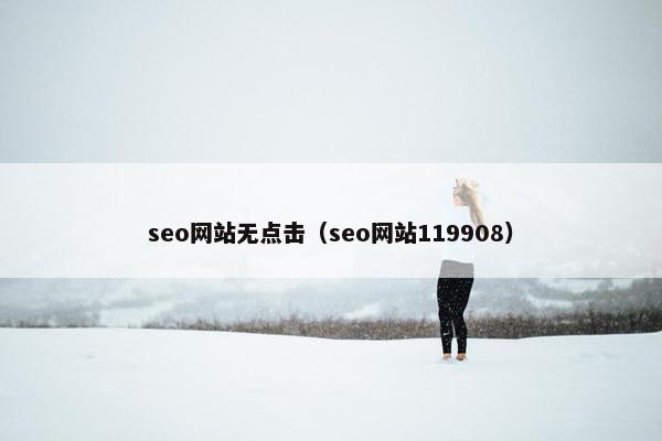 seo网站无点击（seo网站119908）