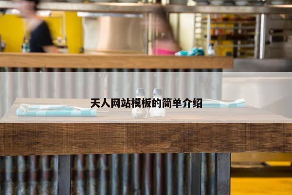 天人网站模板的简单介绍