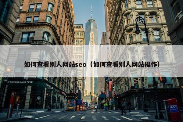 如何查看别人网站seo（如何查看别人网站操作）
