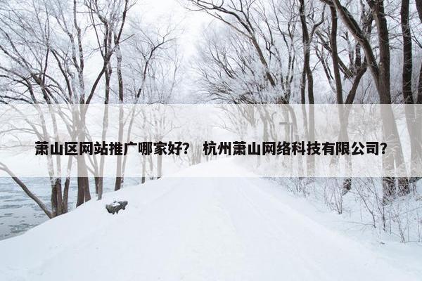 萧山区网站推广哪家好？ 杭州萧山网络科技有限公司？