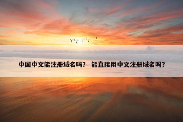 中国中文能注册域名吗？ 能直接用中文注册域名吗？
