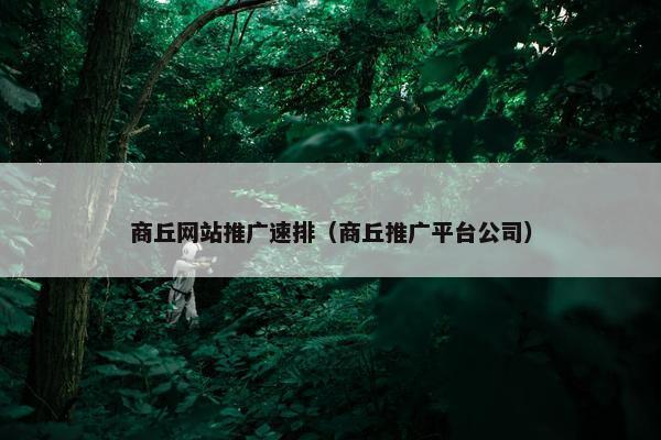 商丘网站推广速排（商丘推广平台公司）