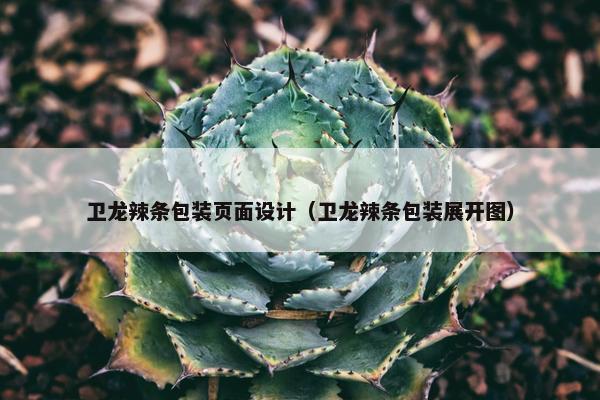 卫龙辣条包装页面设计（卫龙辣条包装展开图）