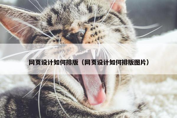 网页设计如何排版（网页设计如何排版图片）