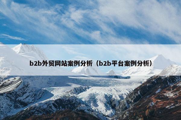 b2b外贸网站案例分析（b2b平台案例分析）