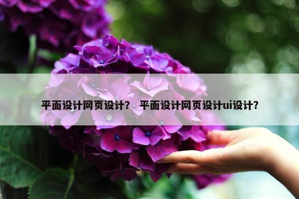 平面设计网页设计？ 平面设计网页设计ui设计？
