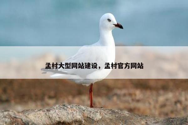 孟村大型网站建设，孟村官方网站