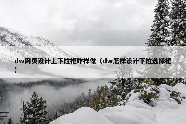 dw网页设计上下拉框咋样做（dw怎样设计下拉选择框）