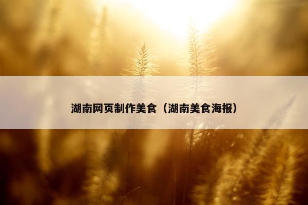 湖南网页制作美食（湖南美食海报）