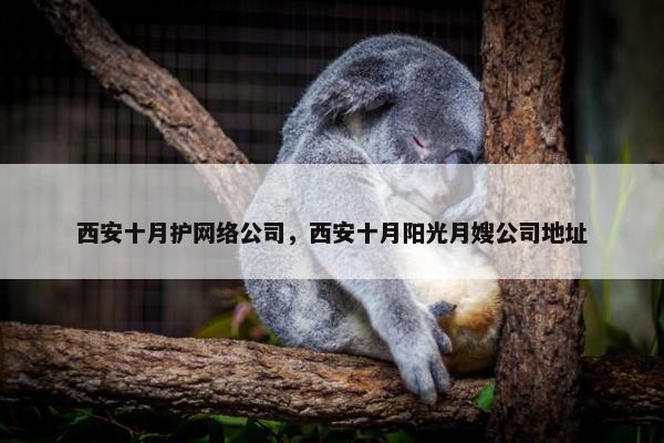 西安十月护网络公司，西安十月阳光月嫂公司地址