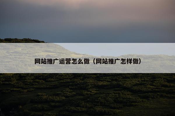 网站推广运营怎么做（网站推广怎样做）