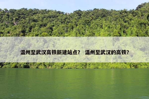 温州至武汉高铁新建站点？ 温州至武汉的高铁？