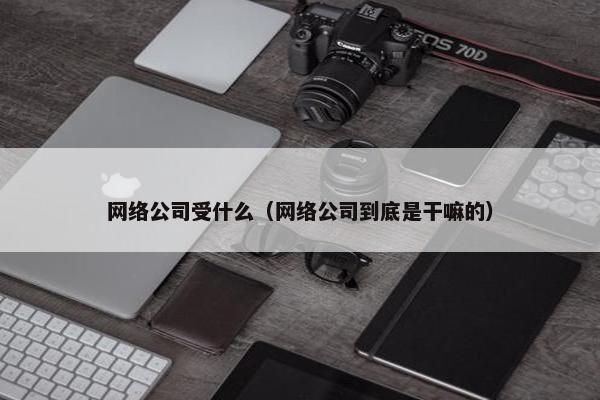 网络公司受什么（网络公司到底是干嘛的）