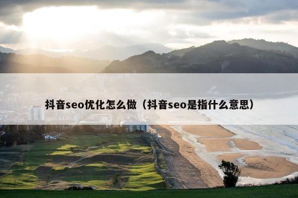 抖音seo优化怎么做（抖音seo是指什么意思）