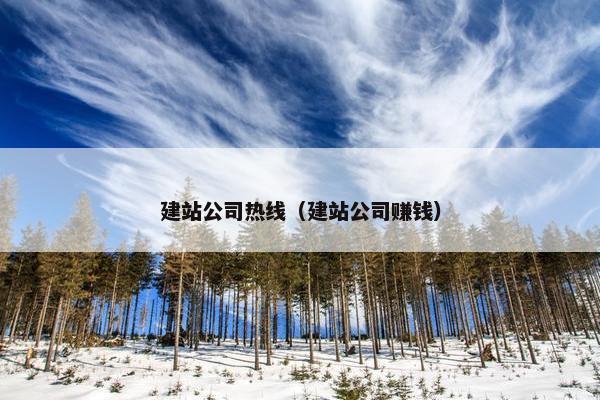 建站公司热线（建站公司赚钱）