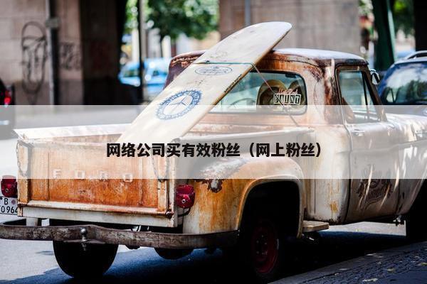 网络公司买有效粉丝（网上粉丝）