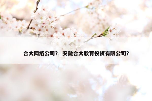 合大网络公司？ 安徽合大教育投资有限公司？