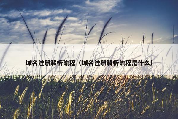域名注册解析流程（域名注册解析流程是什么）