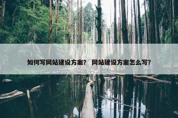如何写网站建设方案？ 网站建设方案怎么写？