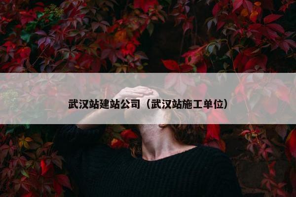 武汉站建站公司（武汉站施工单位）