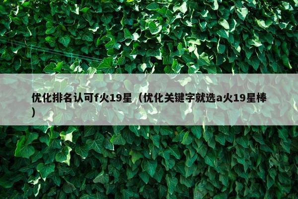 优化排名认可f火19星（优化关键字就选a火19星棒）
