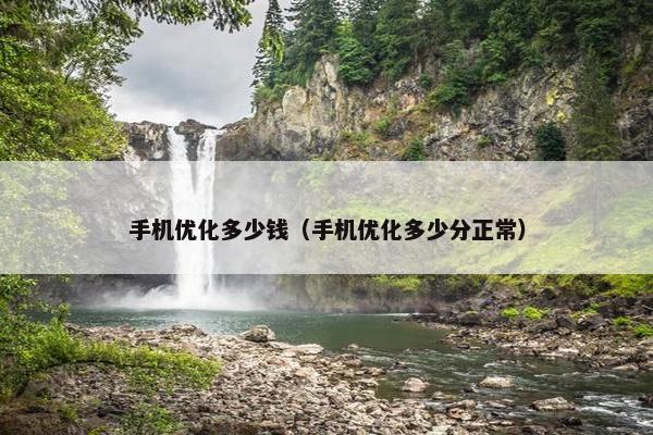 手机优化多少钱（手机优化多少分正常）