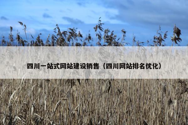 四川一站式网站建设销售（四川网站排名优化）