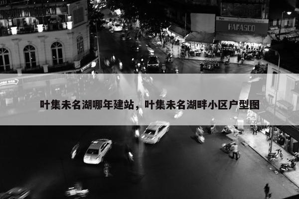 叶集未名湖哪年建站，叶集未名湖畔小区户型图