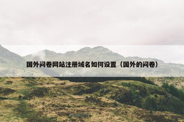国外问卷网站注册域名如何设置（国外的问卷）
