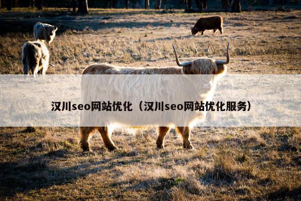 汉川seo网站优化（汉川seo网站优化服务）