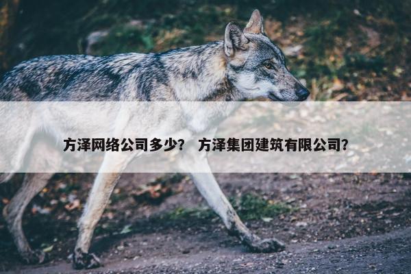 方泽网络公司多少？ 方泽集团建筑有限公司？