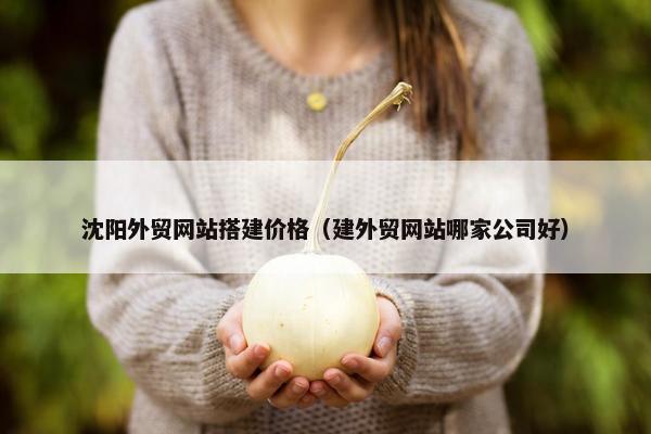 沈阳外贸网站搭建价格（建外贸网站哪家公司好）
