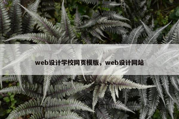web设计学校网页模版，web设计网站
