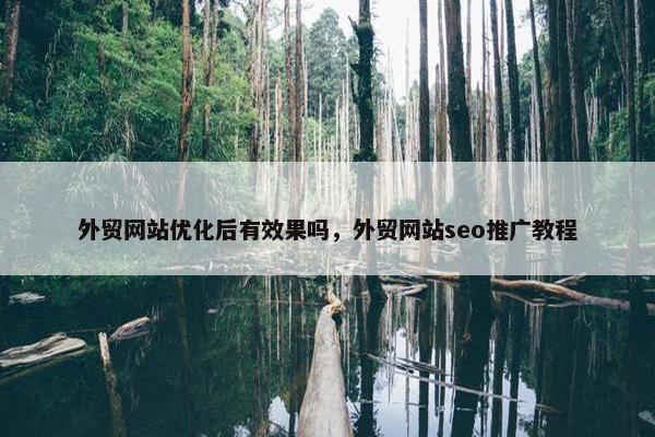 外贸网站优化后有效果吗，外贸网站seo推广教程