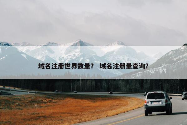 域名注册世界数量？ 域名注册量查询？