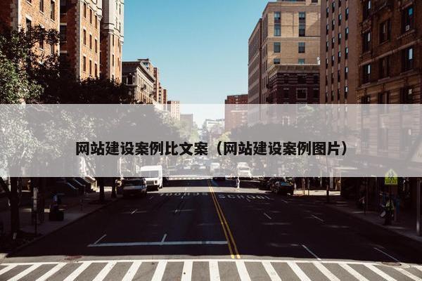 网站建设案例比文案（网站建设案例图片）