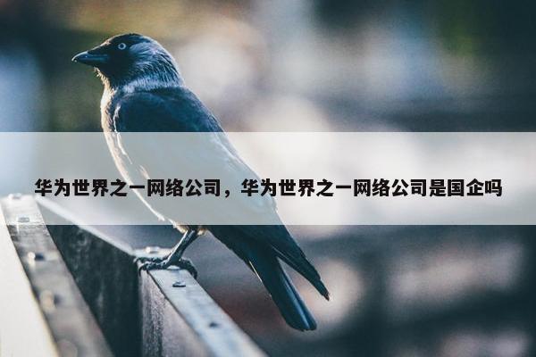 华为世界之一网络公司，华为世界之一网络公司是国企吗