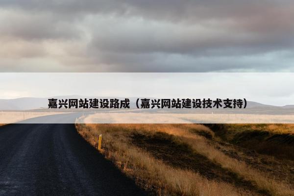 嘉兴网站建设路成（嘉兴网站建设技术支持）