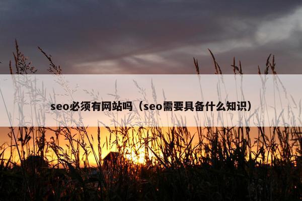 seo必须有网站吗（seo需要具备什么知识）