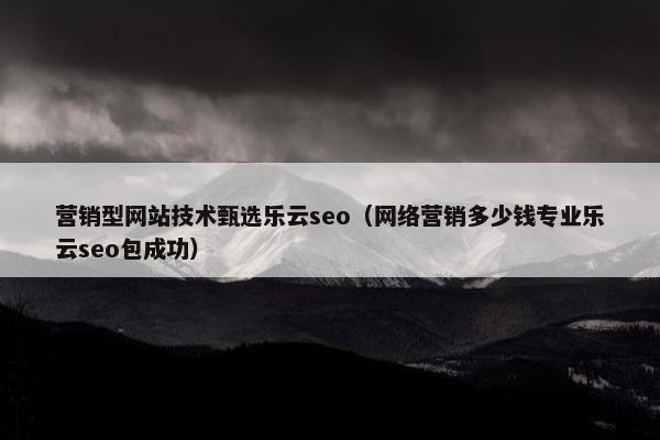 营销型网站技术甄选乐云seo（网络营销多少钱专业乐云seo包成功）