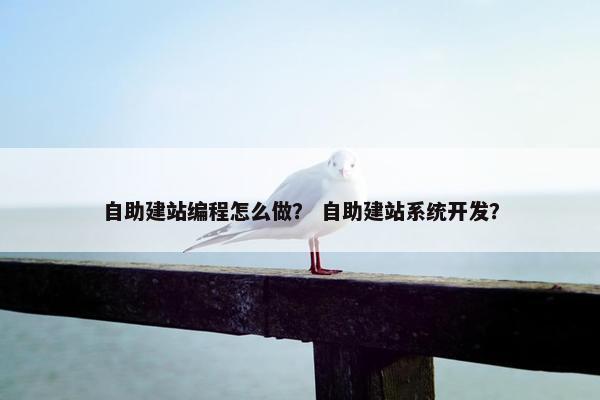 自助建站编程怎么做？ 自助建站系统开发？
