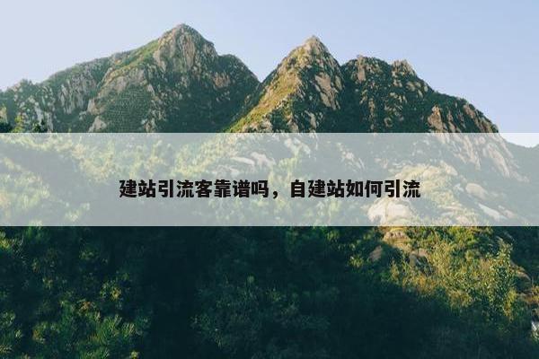 建站引流客靠谱吗，自建站如何引流