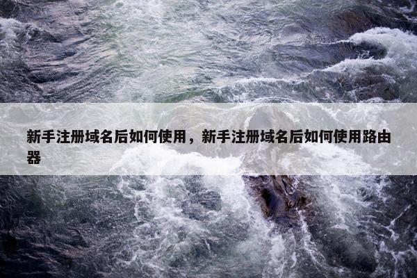 新手注册域名后如何使用，新手注册域名后如何使用路由器