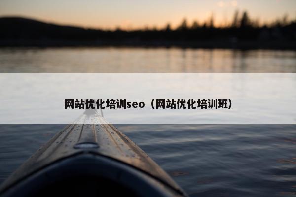 网站优化培训seo（网站优化培训班）