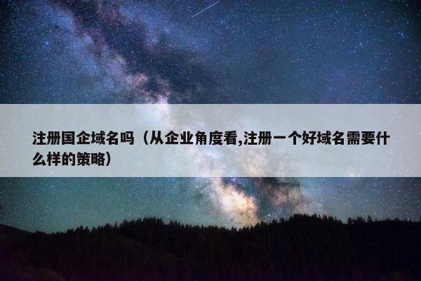 注册国企域名吗（从企业角度看,注册一个好域名需要什么样的策略）